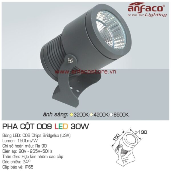 Đèn Anfaco LED pha cột AFC 009-30W